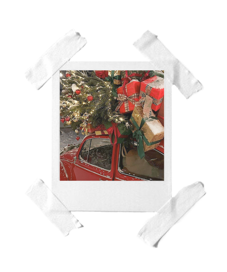 christmas-tree-on-top-the